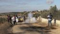 Cisgiordania, raccolta delle olive non consentita ai palestinesi