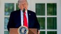 Trump smentisce il Wsj, non ho autorizzato i missili