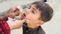 World Polio Day,Rotary 'vaccinati 3 miliardi bimbi dal 1988'