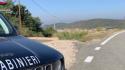 Corsa di cavalli per le vie di Orani: denunciati otto giovani