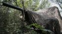++ 'Kupyansk circondata',Putin dispone misure per resa ucraini ++