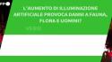 Ansa VERIFIED - L'aumento di illuminazione artificiale provoca danni a fauna, flora e uomini?