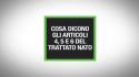 Cosa dicono gli articoli 4, 5 e 6 del Trattato Nato