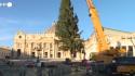 Innalzato l'albero di Natale a piazza S. Pietro: e' alto 27 metri