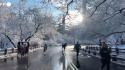 New York si veste di bianco, e a Central Park c'e' anche chi scia