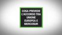 Cosa prevede l'accordo tra Unione europea e Mercosur