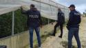 Truffa con azienda agricola fittizia, conclusione indagini per 35