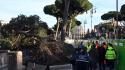 Crollo pini in via dei Fori Imperiali, si rafforza la task force al lavoro