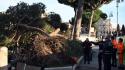 Crollo pini Fori Imperiali, domani al via primi abbattimenti selettivi