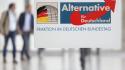 Tribunale tedesco sospende la definizione di Afd come gruppo estremista