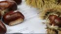 Anche le castagne minacciate dal cambiamento climatico