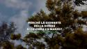 Perche' la giornata della donna si celebra l'8 marzo?