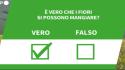 Ansa VERIFIED - E' vero che i fiori si possono mangiare?