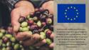 Fitto: "Export agroalimentare Ue resta solido, settore chiave per crescita"