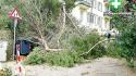 Vento forte a Genova, albero cade e ferisce una passante