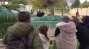 Libia, dopo 17 anni riapre lo zoo di Tripoli