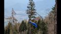 Cade con il parapendio e rimane appesa a un albero a 30 metri da terra