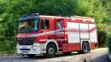 Nidi di calabroni, 20 interventi dei vigili del fuoco tra Parma e provincia