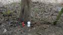 Resti umani, due &laquo;lumini&raquo; nel luogo del ritrovamento