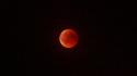 Eclissi totale, domani sera l'appuntamento con la Luna rossa