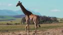 Imprese, a Milano l'Africa Italia Summit