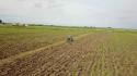 L'Italia rafforza i partenariati agricoli