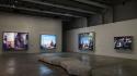 Jeff Wall in mostra alle Gallerie d'Italia di Torino