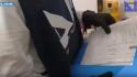 'Ndrangheta, arrestati 8 affiliati nel Bolognese, sequestro beni 1,5 mln