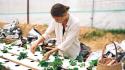 Agricoltura, dall’Ue strategia per ricambio generazionale