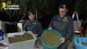 Scoperta "fabbrica della droga" a Napoli, sequestrata una tonnellata di cannabis