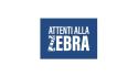 Tumori neuroendocrini, al via la campagna digitale di Ipsen "Attenti alla Zebra"