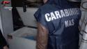 Macellazione clandestina a Salerno, sequestrati 6 quintali di carni
