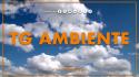 Tg Ambiente - 1/2/2026