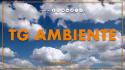 Tg Ambiente - 1/3/2026