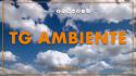 Tg Ambiente - 8/3/2026