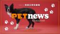PetNews Magazine - 16/3/2026