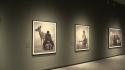 Torino, mostra "Nick Brandt" alle Gallerie d'Italia di Intesa Sanpaolo