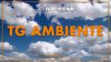 Tg Ambiente - 5/4/2026