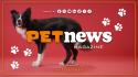 PetNews Magazine - 13/4/2026