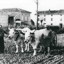 C&rsquo;era una volta, il lavoro memoria di botteghe, campi ed officine