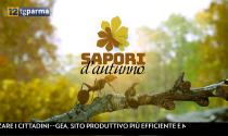 Sapori d'autunno