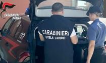 Controlli dei carabinieri in materia di sicurezza sui luoghi di lavoro, scoperte irregolarit&agrave; in due imprese agricole. sospese due attivita&rsquo;, altrettante persone denunciate e sanzioni per oltre 10.000