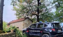 Solignano, 64enne precipita mentre taglia un albero e muore sul colpo