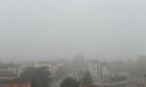 Parma si sveglia avvolta dalla nebbia - Foto