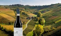 Ca&rsquo; del Baio Barbaresco &laquo;Autinbej&raquo; 2022