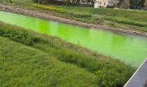 Protesta contro la "crisi climatica": l'acqua della Parma tinta di verde fluo - Le foto - Video