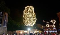 Accensione Albero di Natale - Video 