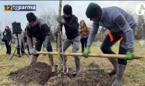 Kilometro verde Parma, piantato il 100.000&deg; albero