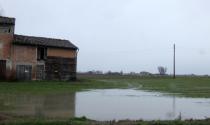 Maltempo e pioggia anche nella Bassa: "laghetti" qua e l&agrave; - Le foto