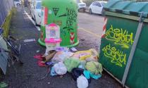 Un chilometro e mezzo di distanza: due zone diverse, stessa scena di immondizia. Con casetta delle bambole inclusa - Le foto